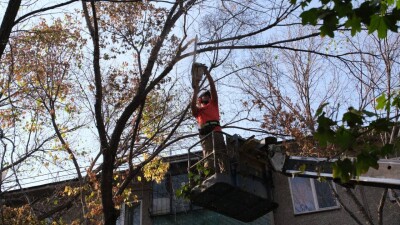 Алматыда 6 мың ағаш санитарлық мақсатта кесіліп жатыр