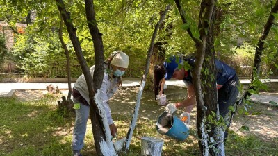 В Шымкенте проводятся комплексные мероприятия по уборке городских территорий