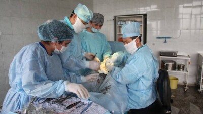 В борьбе за доктора: как в Костанайской области привлекают медиков