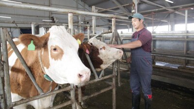 55 крупных инвестпроектов реализуют в ближайшие пять лет в агросекторе Жетысу