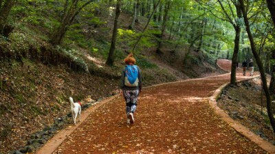 Благоустройство и ландшафтный дизайн: названы самые популярные идеи жителей Ауэзовского района