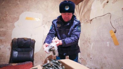Подпольный цех по производству насвая ликвидировали в Астане