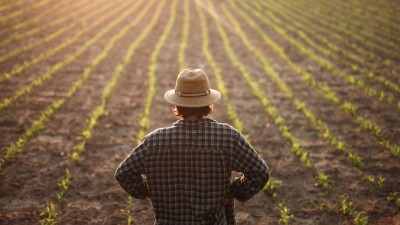 "Наша пшеница твёрдых сортов идеально подходит и для спагетти, и для бешпармака". Как развиваются отрасли, которые кормят страну