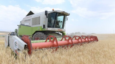 В Туркестанской области объём сельхозпродукции превысил 1 трлн тенге