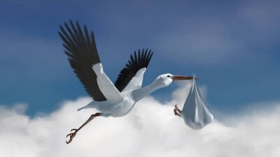 45 сирот взяла на воспитание семья из Костанайской области
