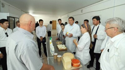 Казахстанские предприниматели из Мангистау впервые примут участие в международном конкурсе сыров