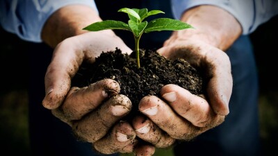 Акмолинец свыше 40 лет трудится в сфере сельского хозяйства