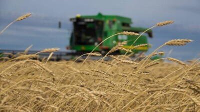 Аграрии Костанайской области собрали весомый урожай зерна