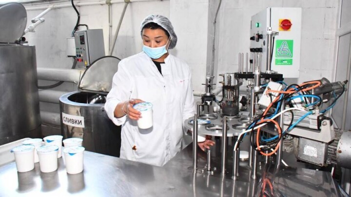 Производство готовой молочной продукции наращивают в Акмолинской области