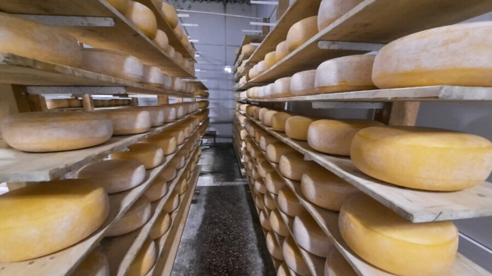 ТОО "АйБат": Акцент на экологически чистые продукты