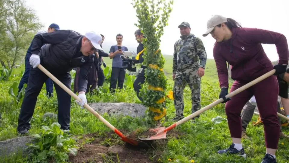 В Алматинской области прошли "Дни чистоты": в акции приняли участие около 39 тысяч человек и собрали более 760 тонн мусора
