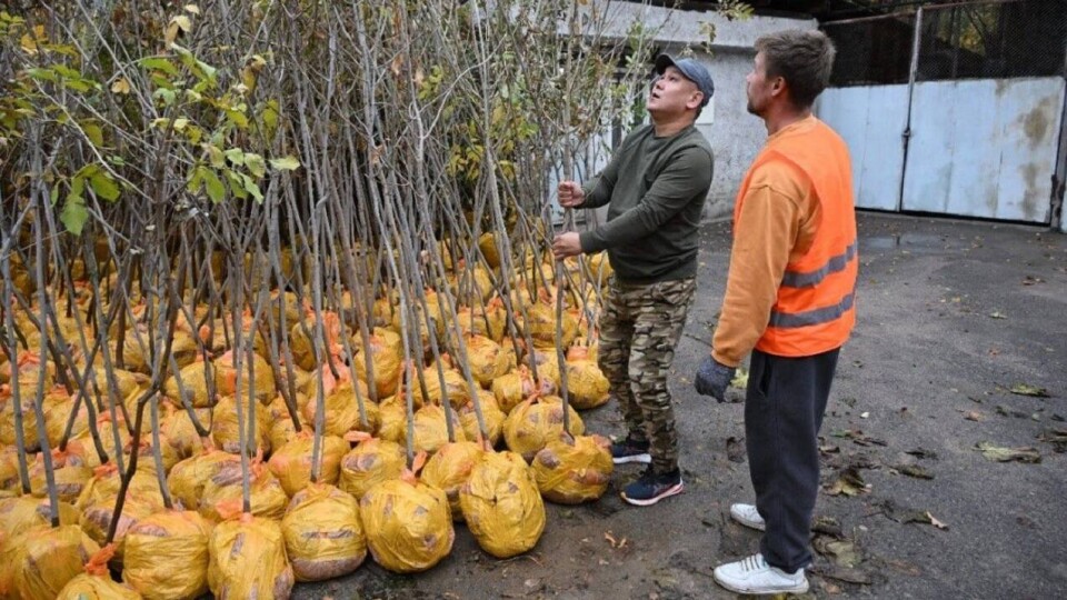 В Алматы началась кампания "Жарқын күз"
