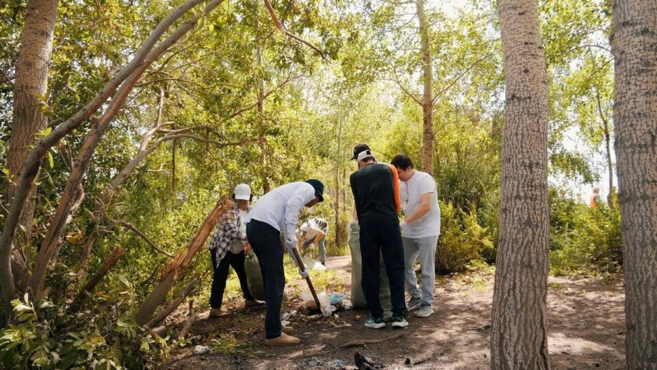 Ещё свыше пяти тонн мусора вывезли из Астаны в рамках акции "Таза Қазақстан"
