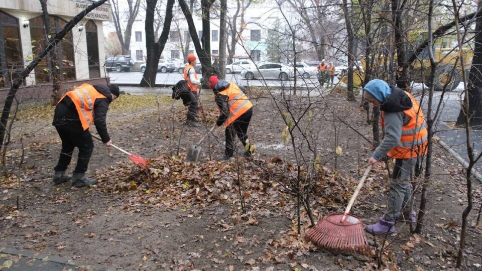 В Алматы стартует кампания "Жарқын күз"