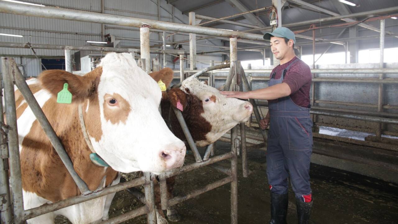 Фото Руслана Кадырова.