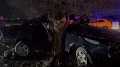 Врезался в дерево: четыре человека погибли в ДТП на трассе Алматы – Усть-Каменогорск
