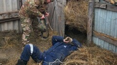 В ЗКО мужчину придавило рулоном сена весом 300 кг