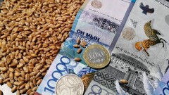 "Вернуть позиции". Продкорпорация готова обеспечить поставки более 1 млн тонн пшеницы в Азербайджан