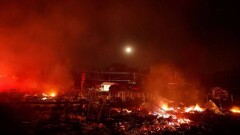 Лесные пожары прошли в нескольких странах мира