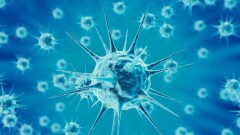 В Казахстане за сутки зарегистрировали 847 случаев заражения Covid-19