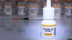 В Австралии начались клинические испытания вакцины против Covid-19 в виде назального спрея