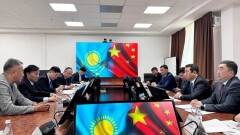 Китай готов возобновить экспорт зерновых из Казахстана