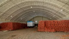 Казахстанские фермеры не могут продать урожай лука даже по минимальной цене