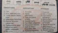 В Туркестанской области водительские права выдавали наркоманам и клиентам психбольниц