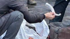 Две сумки рогов сайгака изъяли у сельчанина в Талдыкоргане