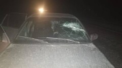 В Туркестанской области неизвестные напали на егеря