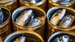 Тайская компания будет производить рыбные консервы в Казахстане