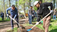 В Алматы на общегородском субботнике собрали 15 тысяч кубометров мусора и высадили 5000 деревьев