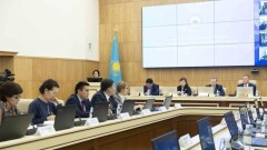 Гражданка Польши хочет баллотироваться кандидатом в президенты Казахстана