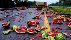 Четыре тонны арбузов разбились из-за массового ДТП в Шымкенте
