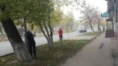 Аймагамбетов: В Семее накажут тех, кто заставил учителей подметать улицы