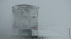 Зима на пороге: в МВД обратились к водителям