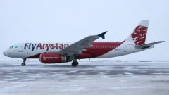 Рейс FlyArystan задержали из-за столкновения судна с птицами