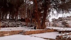 В Африке выпал снег и стоят аномальные морозы