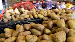 Пять килограммов в руки: супермаркеты Алматы ограничивают отпуск социально значимых продуктов