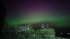 Жители СКО наблюдали северное сияние в ночь на 11 мая