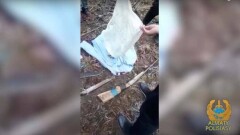  Схрон с оружием нашли в роще Баума в Алматы