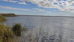 Минэкологии опровергло факт гибели рыбы на озере Караколь в Мангистау