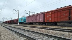 Корм для скота в Мангистаускую область будут поставлять по льготным тарифам с 20 сентября по 31 октября