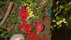 У наркоторговца в Костанайской области изъяли синтетику на 100 млн тенге