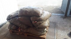 Более тонны рыбы незаконно выловил житель Кызылординской области