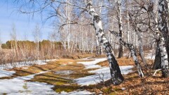 Какая погода ждёт казахстанцев в ближайшие семь дней