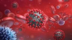 В Казахстане за сутки зарегистрировали 202  случая заражения коронавирусом