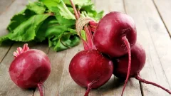 Казахстан планирует сократить посевные площади для свёклы