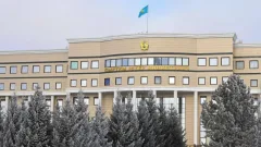 Сколько казахстанцев вернулись домой из зоны конфликта на Ближнем Востоке