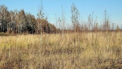 В Мангистауской области вернули в госсобственность более 350 тысяч гектаров неиспользуемых земель